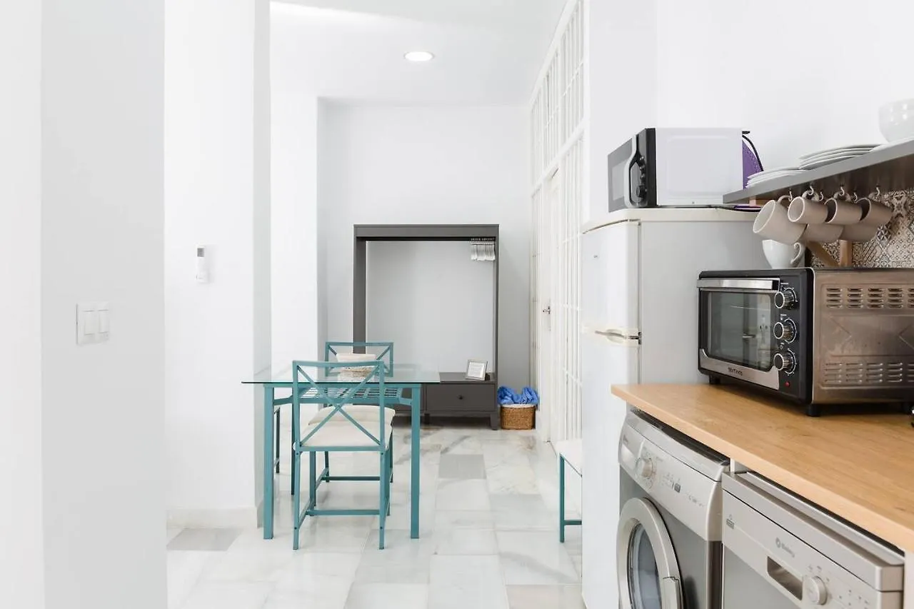 Loft En Primera Linea Del Paseo Maritimo Málaga 0*,